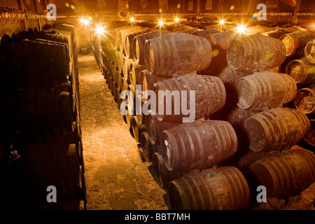 Weinkeller Toro Albala in Aguilar De La Frontera Cordova Andalusien Spanien Stockfoto