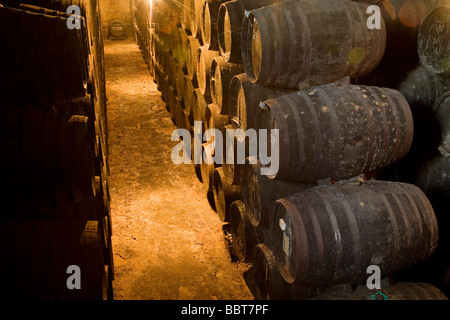 Weinkeller Toro Albala in Aguilar De La Frontera Cordova Andalusien Spanien Stockfoto