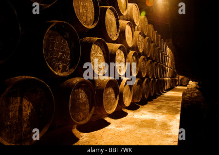 Weinkeller Toro Albala in Aguilar De La Frontera Cordova Andalusien Spanien Stockfoto