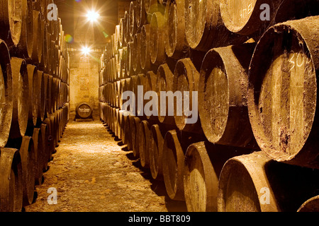 Weinkeller Toro Albala in Aguilar De La Frontera Cordova Andalusien Spanien Stockfoto