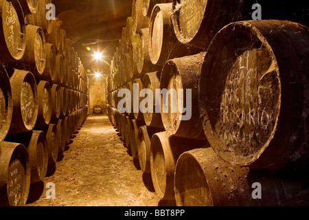 Weinkeller Toro Albala in Aguilar De La Frontera Cordova Andalusien Spanien Stockfoto