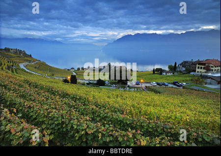 Die Schweizer Weinberge des Lavaux auf der Seite des Lac Leman (Genfer See) in der Abenddämmerung Stockfoto