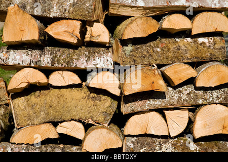 Brennholz in einem ländlichen Haus im Dorf von Mogrovejo Shire von Liebana Picos de Europa Kantabrien Spanien Stockfoto