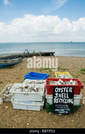 Austernschalen für das recycling am Strand von Whitstable, England Stockfoto