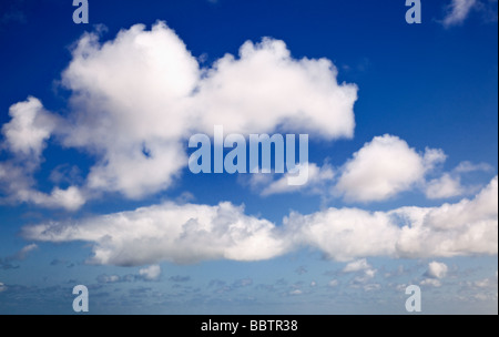 Blick auf einen blauen Himmel mit Cumulus-Wolken Stockfoto