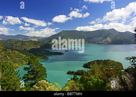 Ngakuta Bay in der Nähe von Picton. Marlborough Südinsel Neuseeland. Oceania Stockfoto