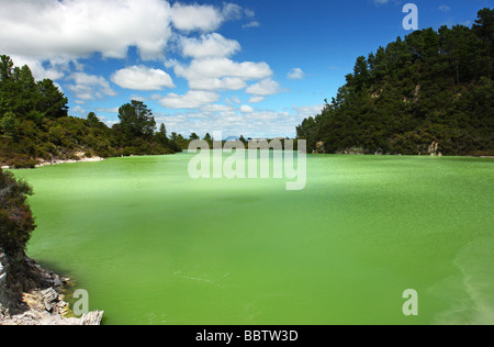 See Ngakoro. Saures Wasser in Wai-o-Tapu geothermal Park. Rotorua. Neuseeland Stockfoto