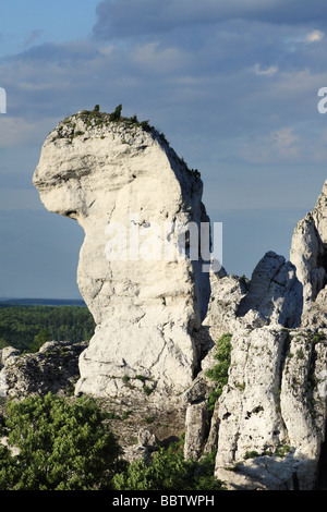 Kalksteinfelsen und Klippen in polnischen Jura Kette, Polen. Stockfoto