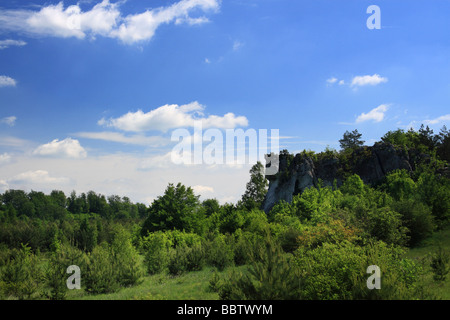 Kalksteinfelsen und Klippen in polnischen Jura Kette, Polen. Stockfoto