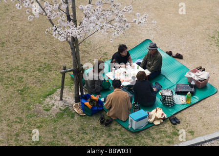Menschen genießen ein Frühlingspicknick unter blühenden Kirschbäume für die Hanami oder Blume anzeigen-Saison Stockfoto