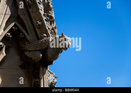 Wasserspeier, Str. Marys Kirche, der University of Oxford Stockfoto