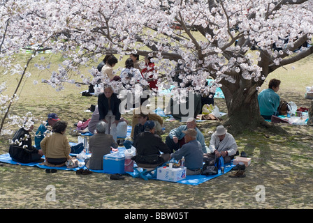 Menschen genießen ein Frühlingspicknick unter blühenden Kirschbäume für die Hanami oder Blume anzeigen-Saison Stockfoto