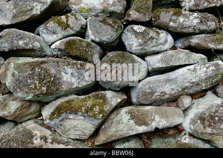 Detail von Moos und Flechten bedeckt Steinmauer in Great Smoky Mountains Nationalpark Tennessee Stockfoto