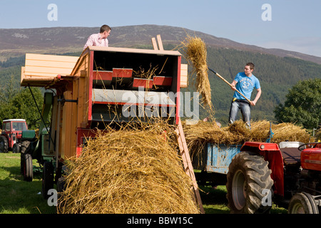 Dreschen auf der Funfest. Zwei junge Landwirte demonstrieren Getreide Dreschen mit und alten hölzernen Dreschmaschine. Stockfoto