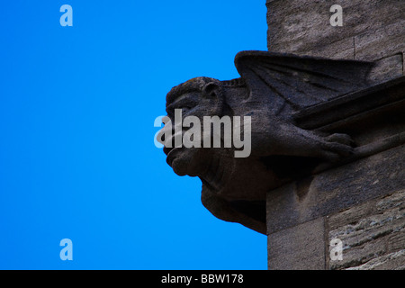 Wasserspeier, Marienkirche, Oxford Stockfoto