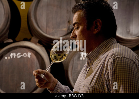 Cata de Vino Bodegas Tierras de Mollina Malaga Andalusien España Wein Weinprobe Weingüter Tierras de Mollina Malaga Andalusien Spanien Stockfoto