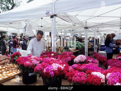 New York City Open Air Union Square Green Market, im Flatiron District. Blumen zum Verkauf an einem Straßenverkäufer Stand. Stockfoto