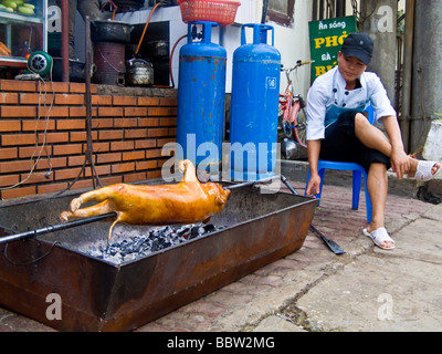 Frau, Kochen ein ganzes Schwein über Feuer auf Straße Sapa, Vietnam-JPH0209 Stockfoto