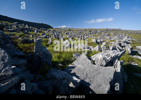 Felsigen Abwehrkräfte. Spitzen Felsen bildeten die erste Verteidigungslinie vor Eindringlingen die hohen Mauern dieser strategischen Festung auf Innishm erreicht Stockfoto