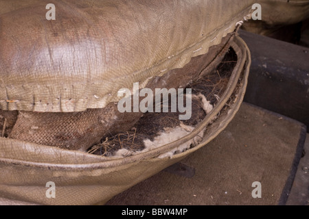 Pferd Haar Sitz eines Sportwagens 1937 Bugatti Typ 57s Atalante Stockfoto