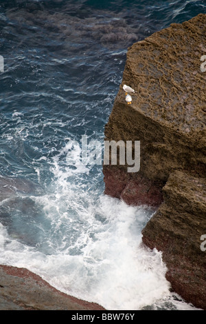 Acantilados de el Mar Cantábarico Kantabrien España Cliffs im Kantabrischen Meer Kantabrien Spanien Stockfoto