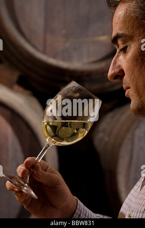 Cata de Vino Bodegas Tierras de Mollina Malaga Andalusien España Weinprobe bei der Weingüter Tierras de Mollina Malaga Spanien Stockfoto