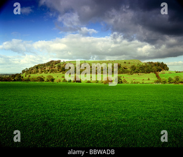 Cadbury Castle, South Cadbury, Somerset. Festung aus der Bronzezeit und dann eine große Stadt aus der Eisenzeit, die vermutlich König Arthurs Camelot war. UK HOMER SYKES. Stockfoto