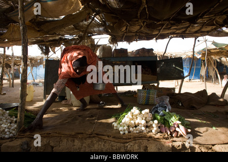 Kalthoum Ibrahim Flamid, 45, Wohnsitz von sechs Jahren in die 4 qkm Abu Shouk Flüchtlingslager Al Fasher, North Darfur, Sudan Stockfoto