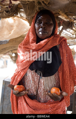 Kalthoum Ibrahim Flamid, 45, Wohnsitz von sechs Jahren in die 4 qkm Abu Shouk Flüchtlingslager Al Fasher, North Darfur, Sudan Stockfoto