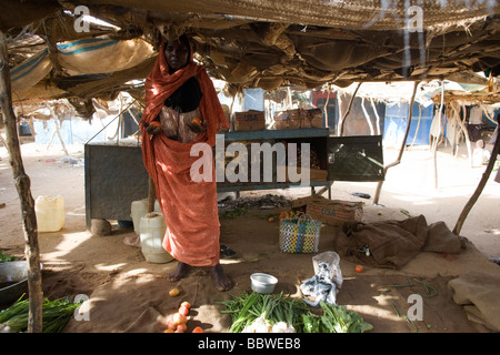 Kalthoum Ibrahim Flamid, 45, Wohnsitz von sechs Jahren in die 4 qkm Abu Shouk Flüchtlingslager Al Fasher, North Darfur, Sudan Stockfoto
