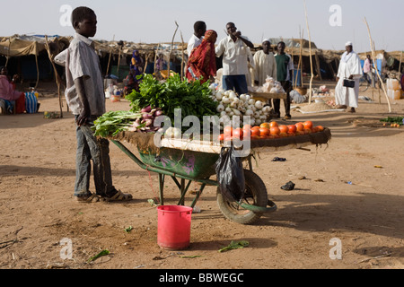 Ein kleiner Junge verkauft Obst aus einer Schubkarre in die 4 qkm Abu Shouk Flüchtlingslager Al Fasher, Nord-Darfur Sudan Stockfoto