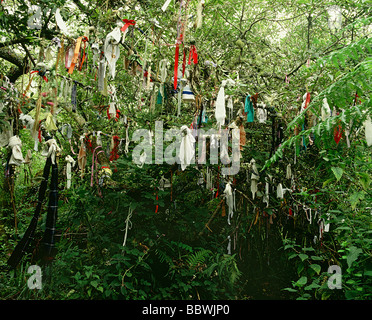 Madron Heiliger Brunnen Madron Cornwall. Votivopfer hängen von den Zweigen ein kleiner Dorn Baum 1990er Jahre Cornish Folklore heidnischen Ritual 1995 HOMER SYKES Stockfoto