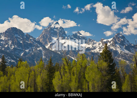 Schneebedeckte Berge im Grand Teton National Park in Wyoming Stockfoto