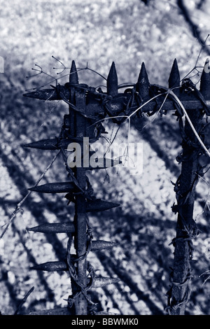 Stacheligen Eisenzaun. Stockfoto