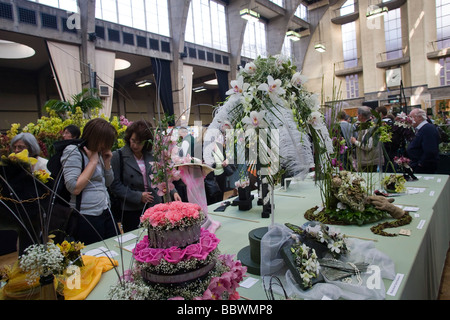 Orchidee Blüten zeigt auf Ausstellung Stockfoto