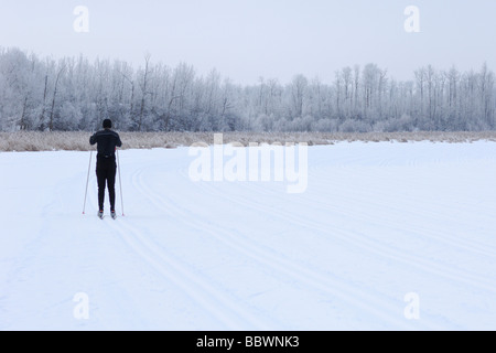 Einsamer Skifahrer auf die Birkebeiner größten klassischen cross Country Ski-Festival in Nordamerika östlich von Edmonton Alberta Kanada Stockfoto