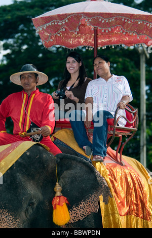 Kostüm Elefanten Ayutthaya Thailand Stockfoto