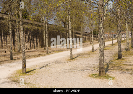 Der Baum-Allee am Seil Werksmuseum Rochefort Charente Maritime France Stockfoto