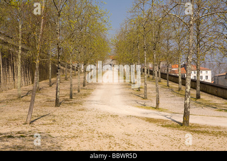 Der Baum-Allee am Seil Werksmuseum Rochefort Charente Maritime France Stockfoto