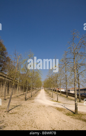 Der Baum-Allee am Seil Werksmuseum Rochefort Charente Maritime France Stockfoto