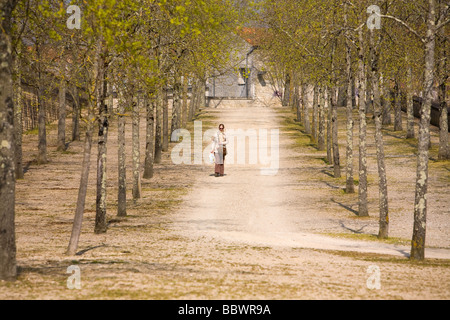 Der Baum-Allee am Seil Werksmuseum Rochefort Charente Maritime France Stockfoto