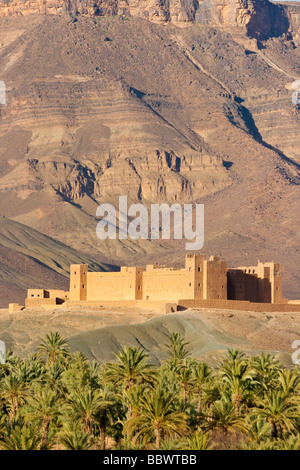 Kasbah von Tamnougalt und Jebel Kissane im Anti Atlas im Draa-Tal in Marokko Nordafrika Stockfoto