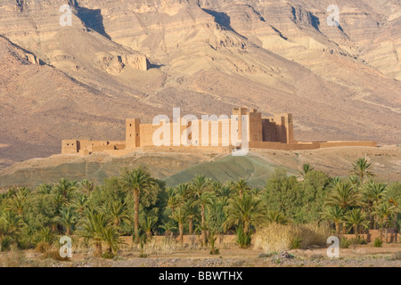 Kasbah von Tamnougalt und Jebel Kissane im Anti Atlas im Draa-Tal in Marokko Nordafrika Stockfoto