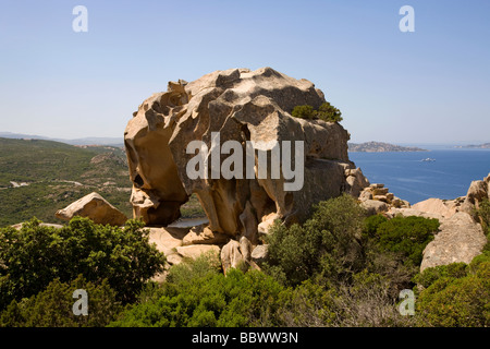 Der Wind geformt Bear Rock am Capo d ' Orso, Sardinien Stockfoto