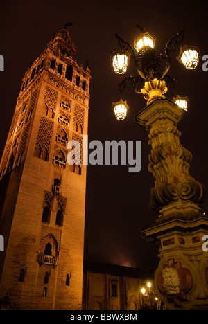 beleuchteten Turm La Giralda der Kathedrale von in der Nacht in Sevilla Andalucia Spanien Stockfoto