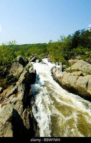 Rauschende Wasser Great Falls VA Potomac River Wasserfälle rockt sperrt C O Canal Chesapeake and Ohio Canal Washington DC Stockfoto