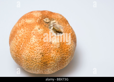 faule mandarin Stockfoto