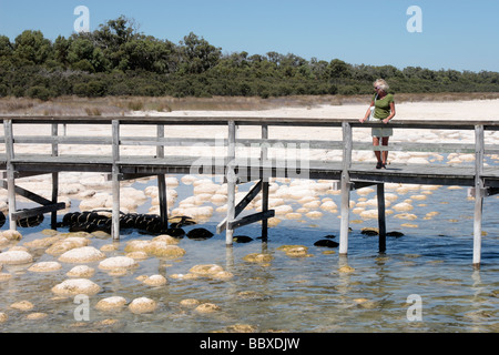 Eine Frau stand auf der Aussichtsplattform oberhalb der Thrombolites am Rande des Lake Clifton in der Nähe von Perth in Western Australia Stockfoto