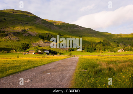 Pfad zur Seite Bauernhof Patterdale im englischen Lake district Stockfoto