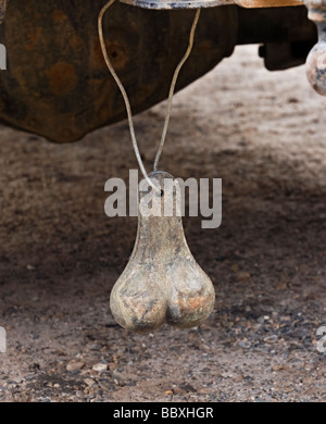 Messing Kugeln hängen vom hinteren Stoßfänger Pickup-Trucks in ländlichen North Florida Stockfoto